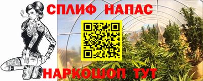 прущие грибы Можга