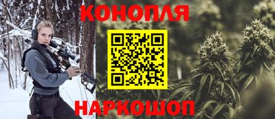 прущие грибы Можга