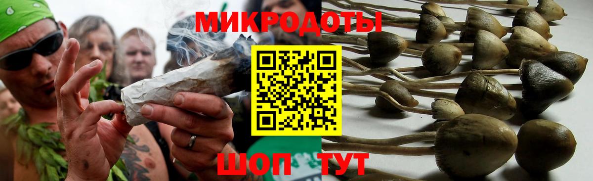 Псилоцибиновые грибы прущие грибы Ульяновск